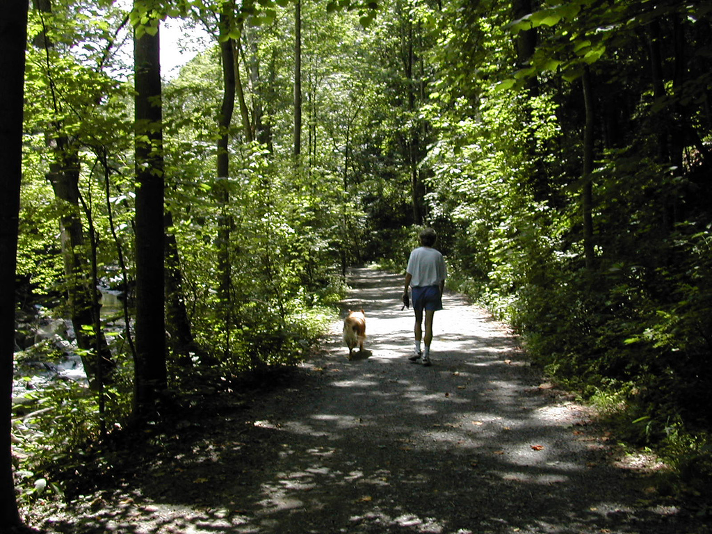 Man and Dog